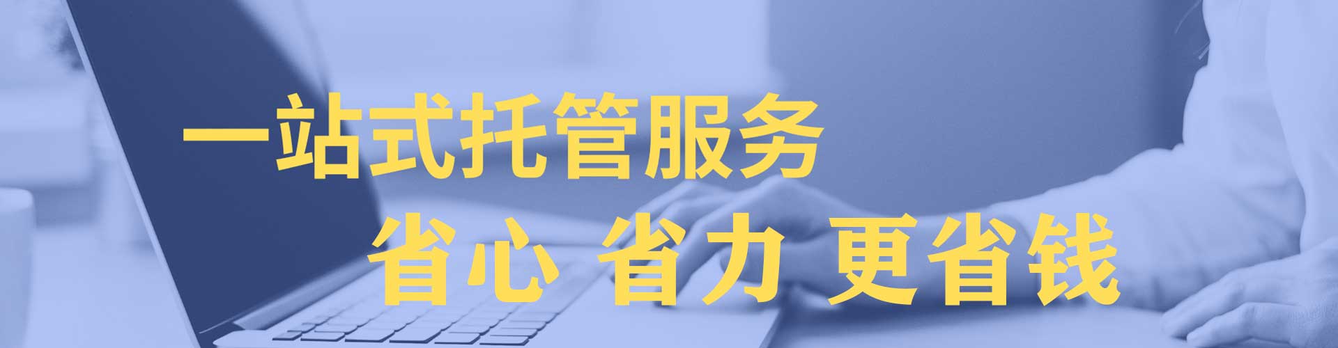 武定竞价端口开户